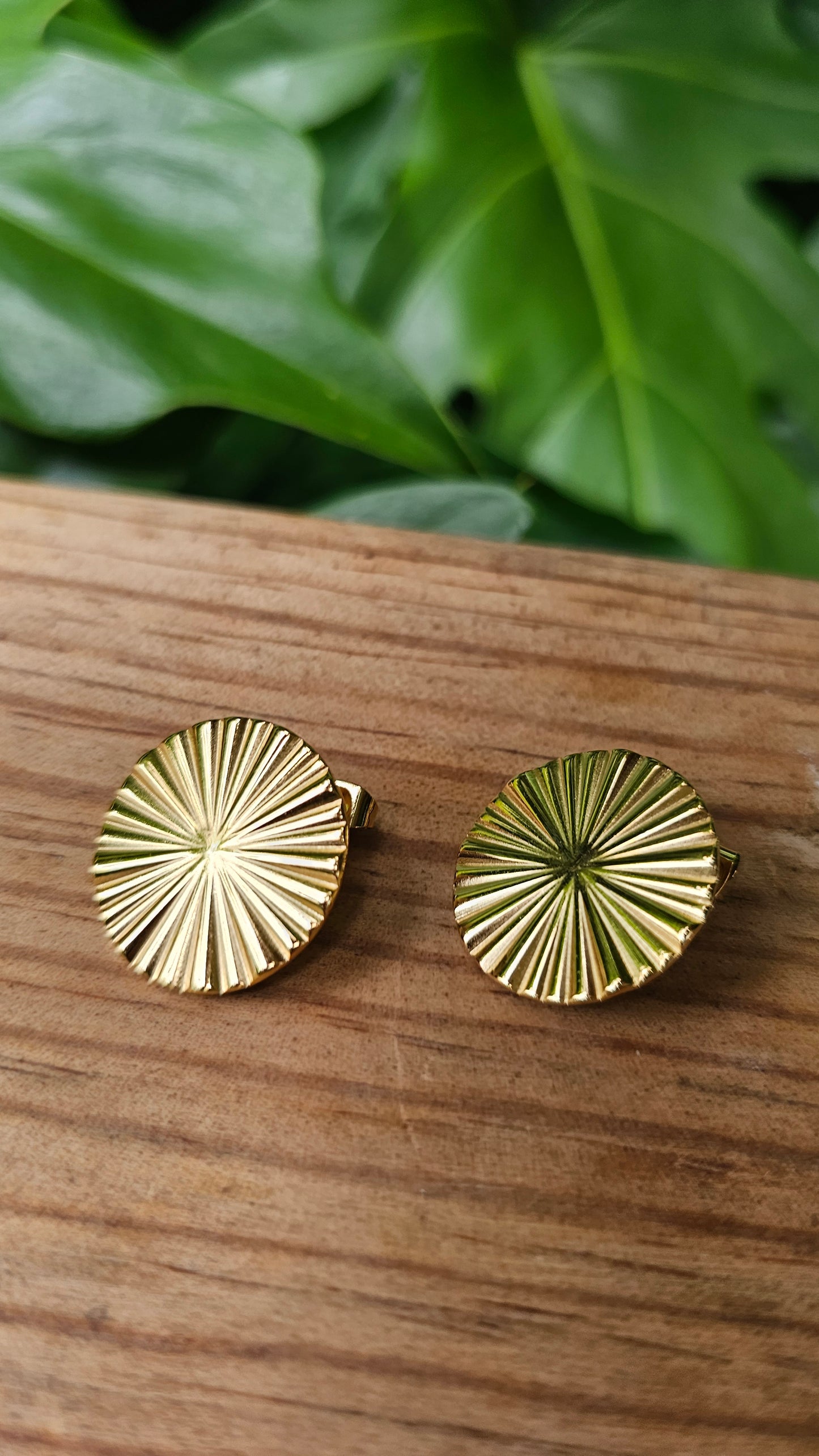 Boucles d'oreilles rondes en acier inoxydable doré et argenté.